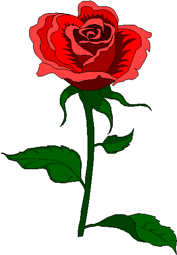 Image6.gif (9064 bytes)